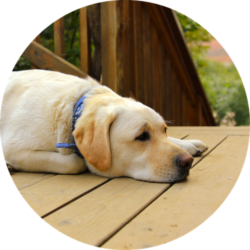 Decks by Nailed It Construction Concepts